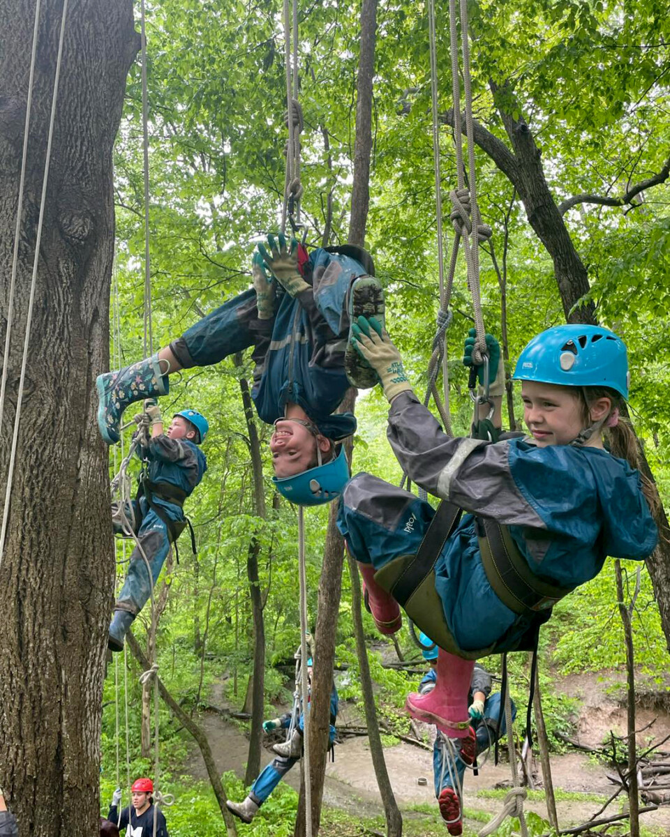 rope course hanging in trees