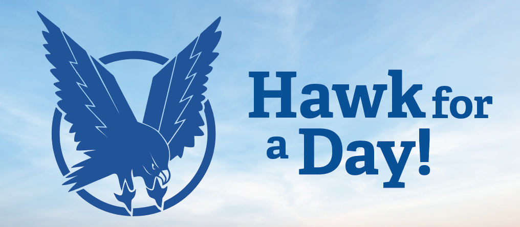 Hawk for a Day popup header graphic